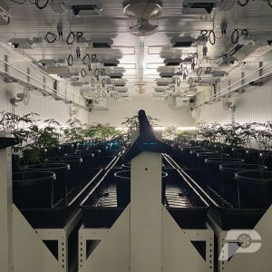 Indoor-grow-room
