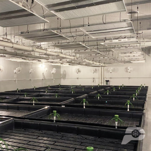 indoor-grow-rooms