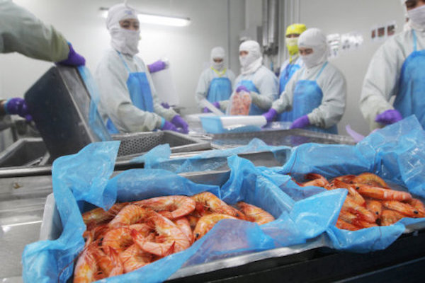 Insulating Your Seafood Processing Facility with PermaTherm 