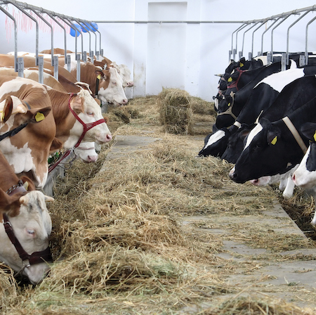 Farming Feed Storage