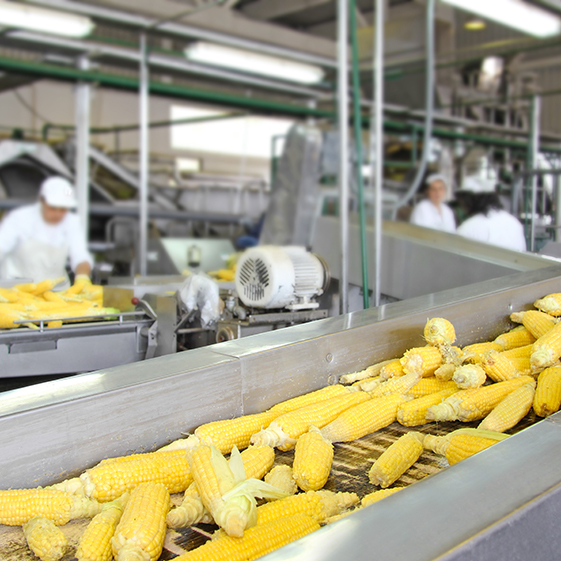 Food Processing