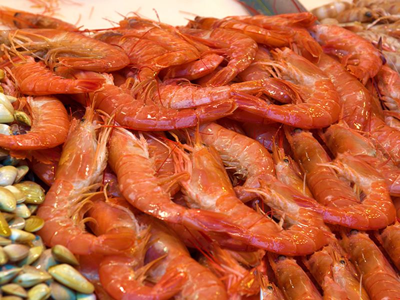 Shrimp Crawfish Processing