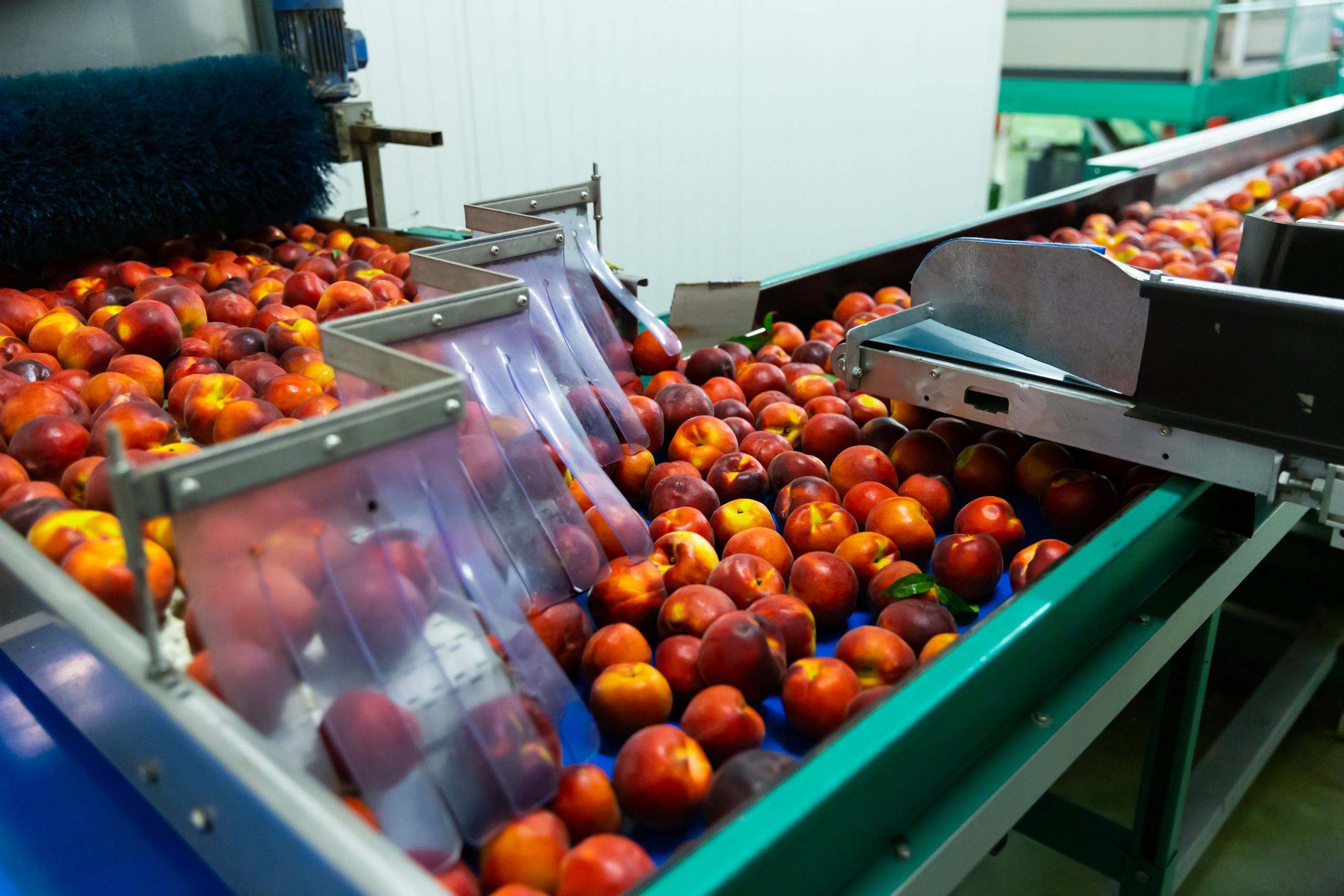 Produce processing facility with insulated panels