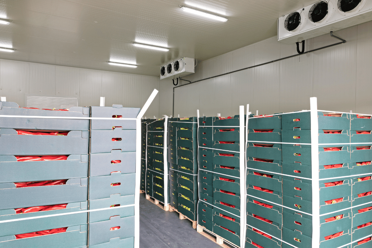 building a cold storage facility